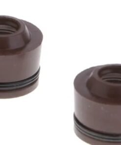 Set Retenes Valvulas Dy 100 De Moto