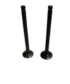 SE JUEGO DE VALVULA 49CC